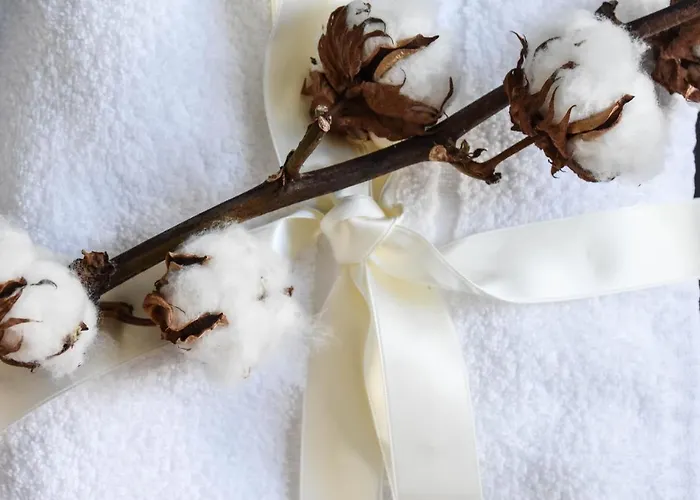 Garibaldi23 Konukevi